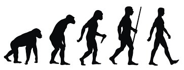 La teoría de la evolución