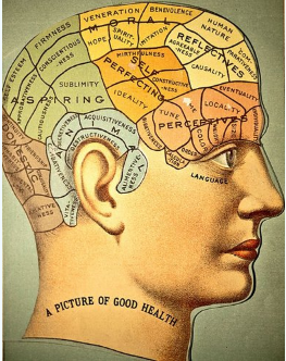 Frenología XVII - XIV