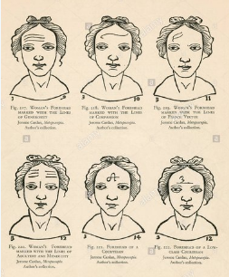 Fisionomía  DEL SIGLO XIII HASTA TODO EL SIGLO XIX