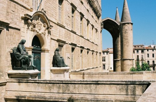 La universidad de medicina