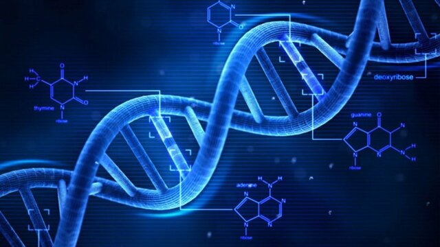 Descubrimiento del doble hélice del ADN.