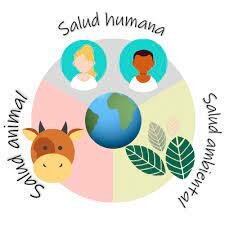Un mundo, Una salud