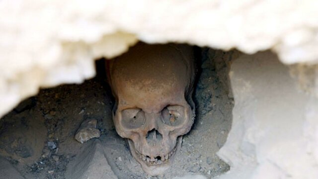 Cráneo hallado en la piramide de Gizen