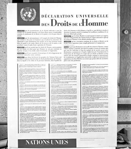 Declaración de los derechos humanos