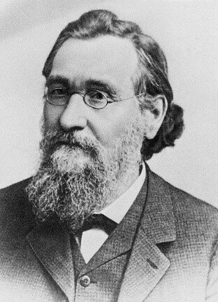 Эмбриология и фагоцитоз