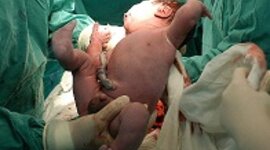 Timeline: Karla Escolaridad