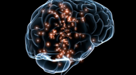 Timeline: Neurociencias de la conducta, un viaje que no se detiene.