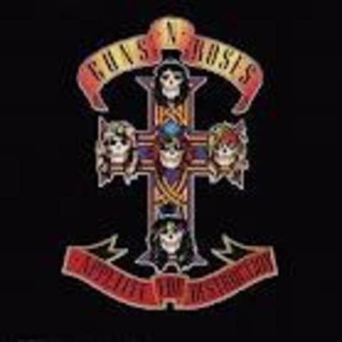 Je vais aller au concert de Guns N 'Roses.