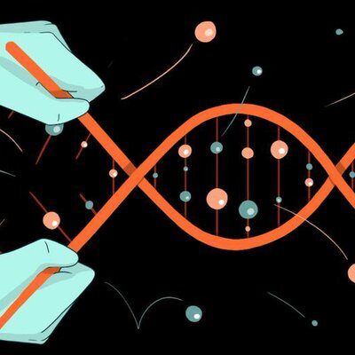 Timeline: HISTORIA DE BIORREACTORES