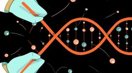 Timeline: HISTORIA DE BIORREACTORES