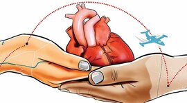 Timeline: Heart Transplant