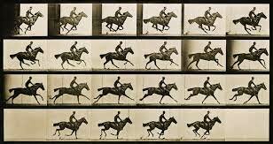 the horse in motion the first movie