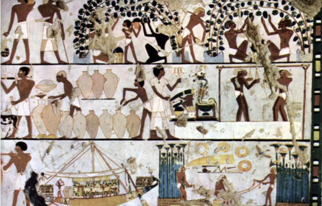 Fermentación del vino