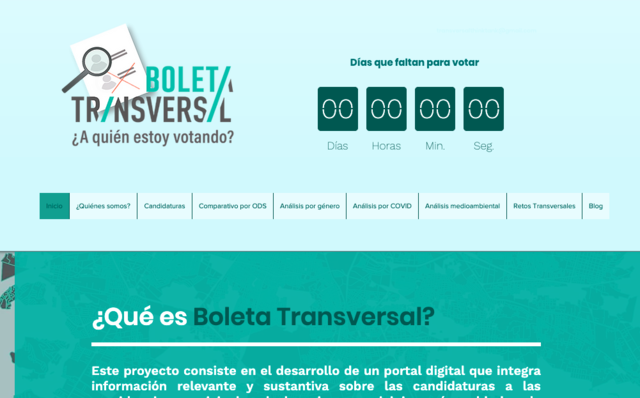 2021: Becaria para Transversal Think Thank