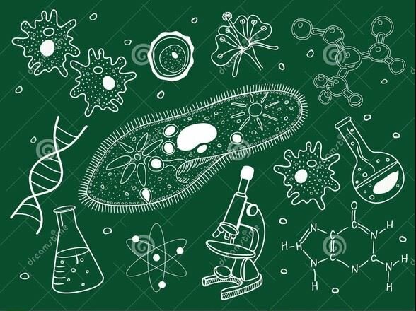 Otro acercamiento - la TGS en la Biología