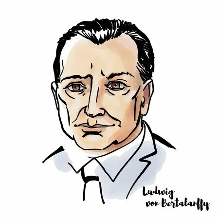 Bertalanffy - II