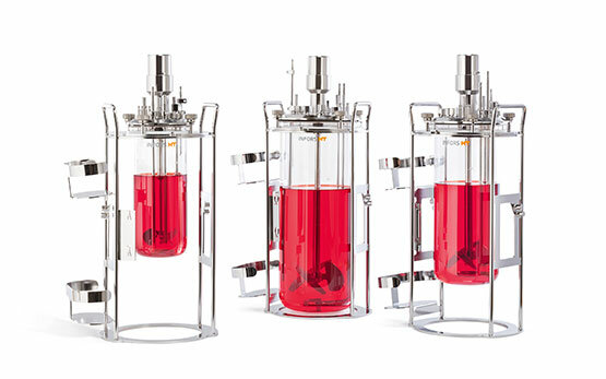 Biorreactor para el Cultivo de Células Madre Humanas