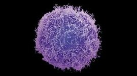 Timeline: El origen de las enfermedades