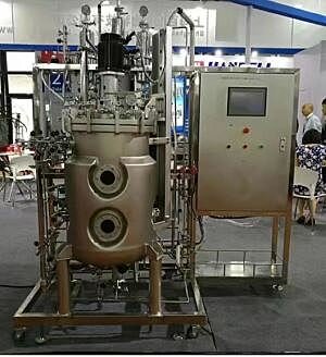 Primer biorreactor a gran escala