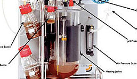 Elaboración de nuevos biorreactores de mesa