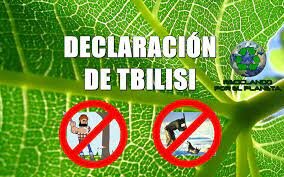 Declaración de Tbilisi
