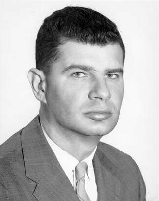 John P. van Gigch aportaciones