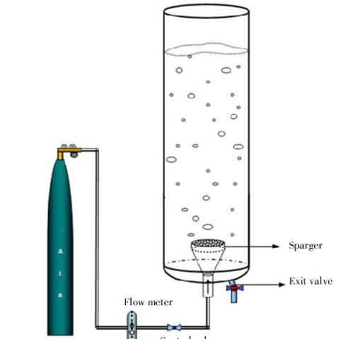 biorreactor de columna de burbujas