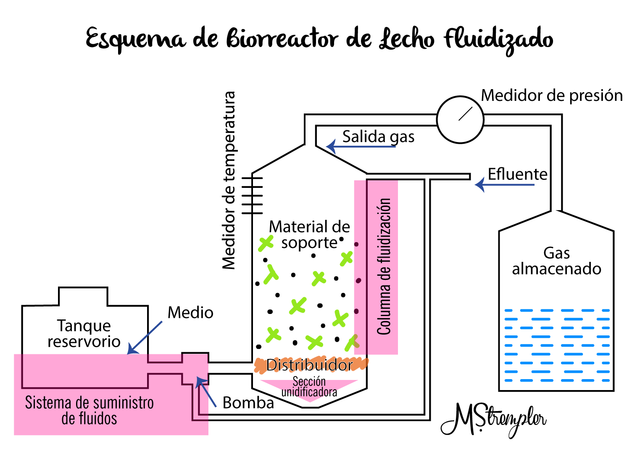 reactor de lecho fluidizado