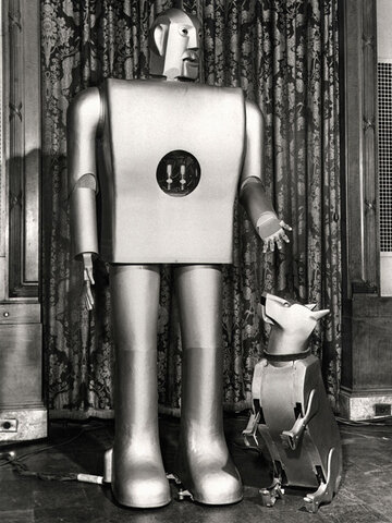 Elektro robot
