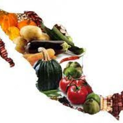 Timeline: Programas alimentarios en México