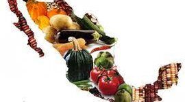 Timeline: Programas alimentarios en México