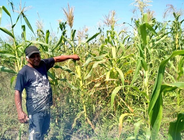 Programa de apoyo al comercio ejidal.