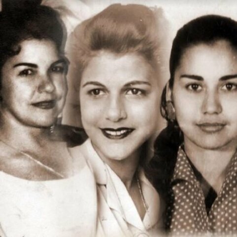 Las mariposas inolvidables