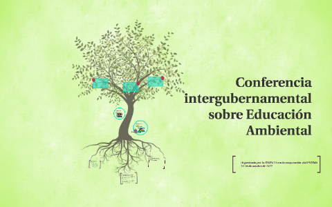 CONFERENCIA INTERGUBERNAMENTAL SOBRE EDUCACIÓN AMBIENTAL-TBILISI