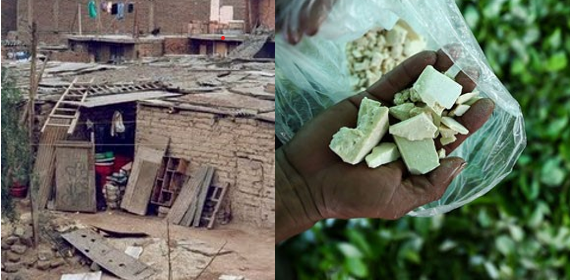 La pobreza y el inicio del Narcotráfico