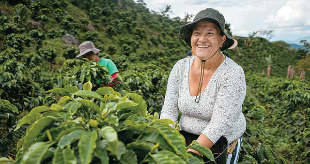 Ley 731 del 2002 Mujeres