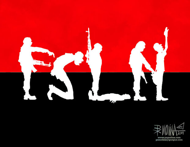 Frente Sandinista de Liberación Nacional (FSLN)