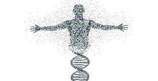 Proyecto Genoma Humano