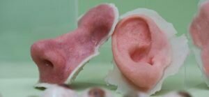 Biorreactor para células