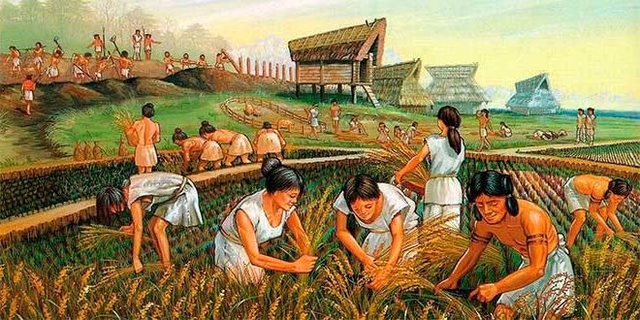 Periodo Agricola