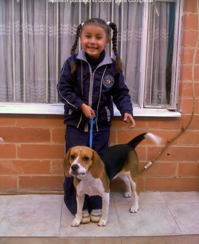 Llegada de mi primer perrita