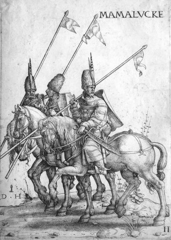 Mamluks