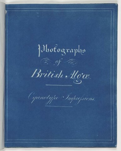 Primer libro de fotografías
