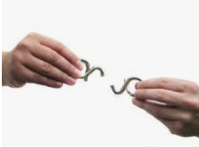 Shafer, Smith y Linder (2005 CUATRO CATEGORIAS Y DEFINICIONES DE NEGOCIO