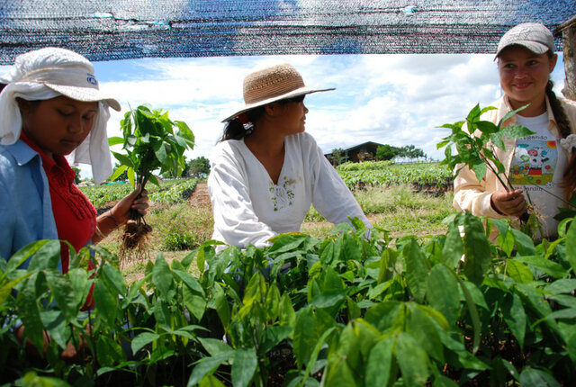 1984; Asociación Nacional de Mujeres Campesinas, Negras e Indígenas de Colombia ( ANMUCIC)