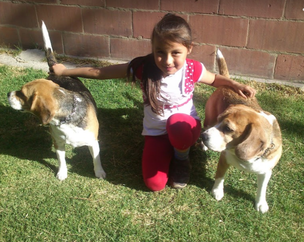 Llegada de mi segunda perrita