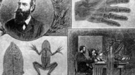 Timeline: Historia sobre la Consolidación de la Protección Radiológica