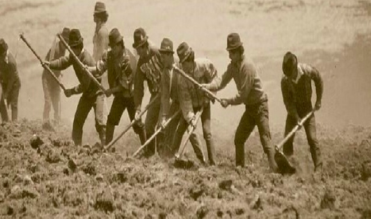 Política agropecuaria.
