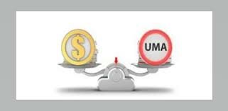 DECRETO 226. SE DECLARA REFORMADAS Y ADICIONADAS DIVERSAS DISPOSICIONES DE LA (CPEUM) EN MATERIA DE DESINDEXACIÓN DEL SALARIO MÍNIMO.