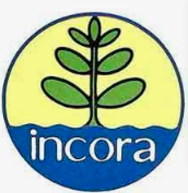 Creación del INCORA